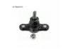 Joint de suspension Ball Joint 51760-2E000:51760-2E000